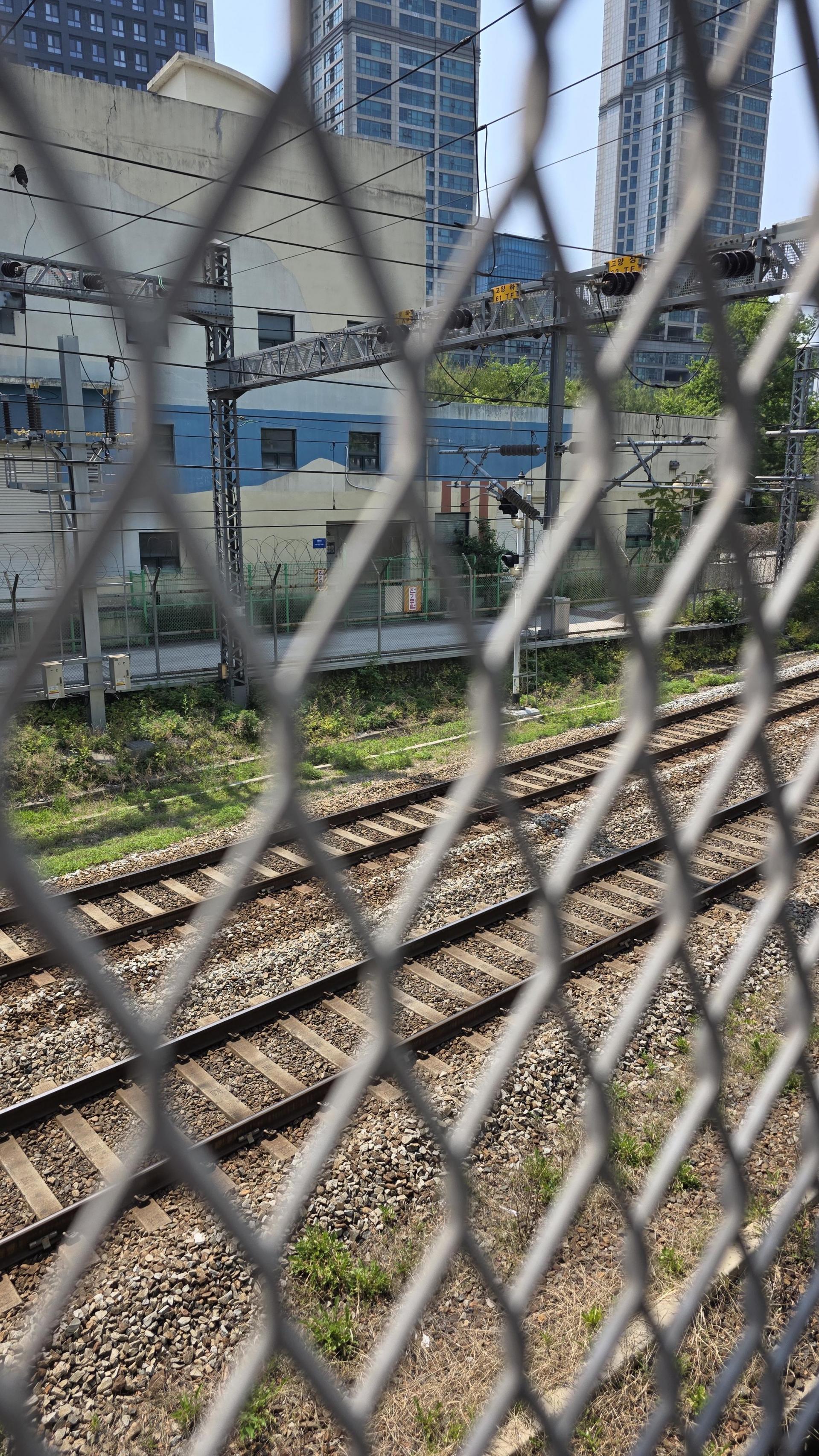 2b87ba31434ed.jpg