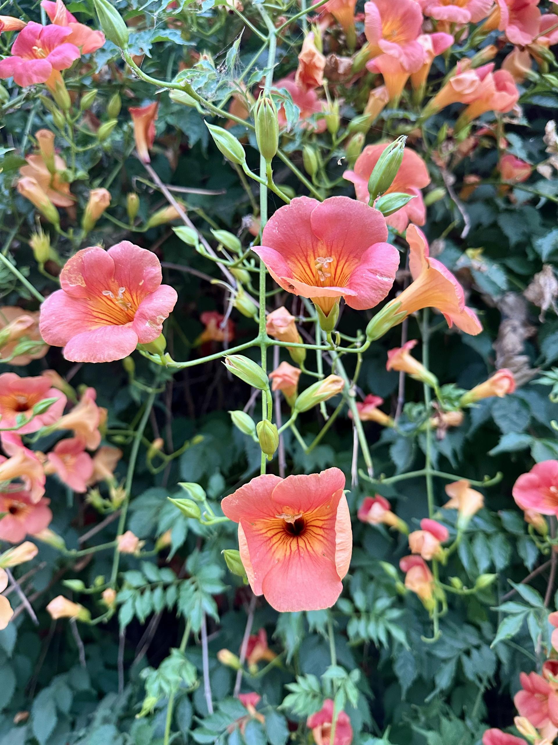 3a928fd65fd66.jpg