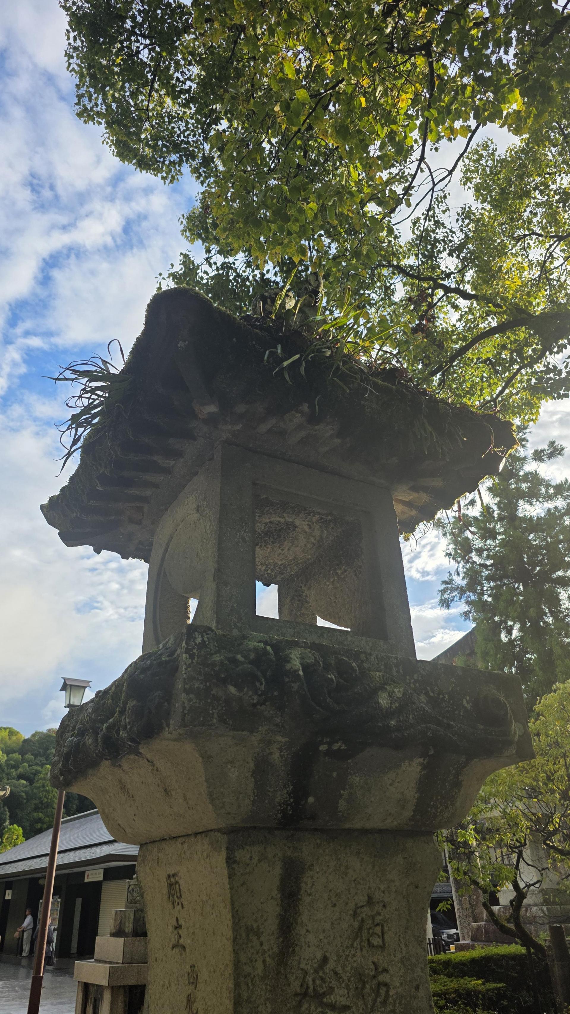 3b446a264e1e2.jpg