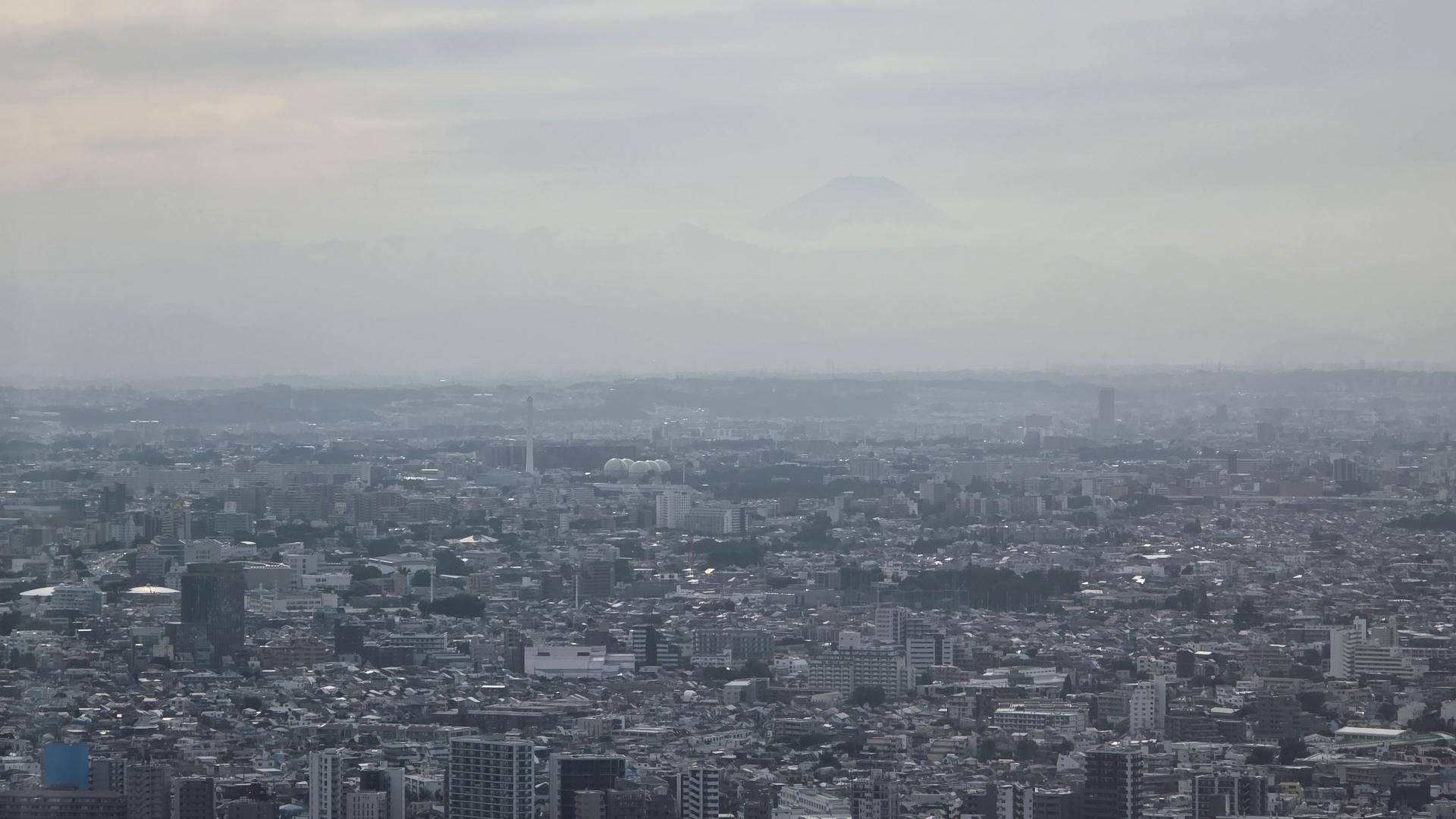도쿄시청 건물 45층에서 보이는 후지산 : 셀수스 협동조합, image size:1920x1080