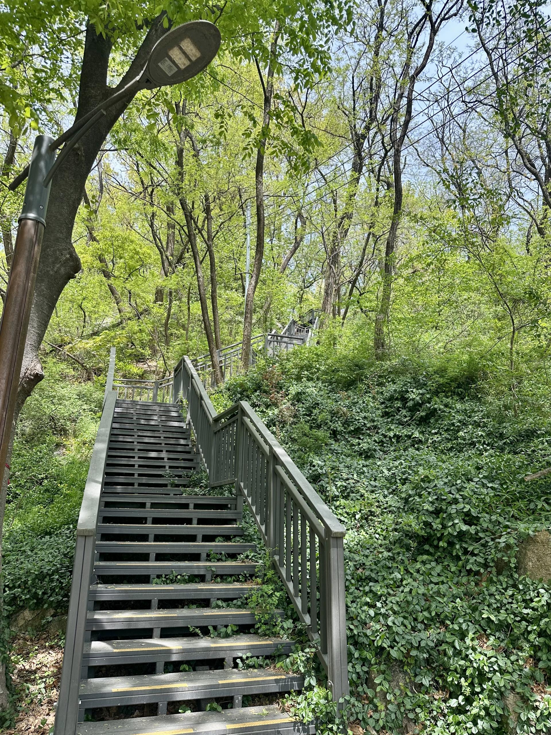 5b3265fac0f46.jpg