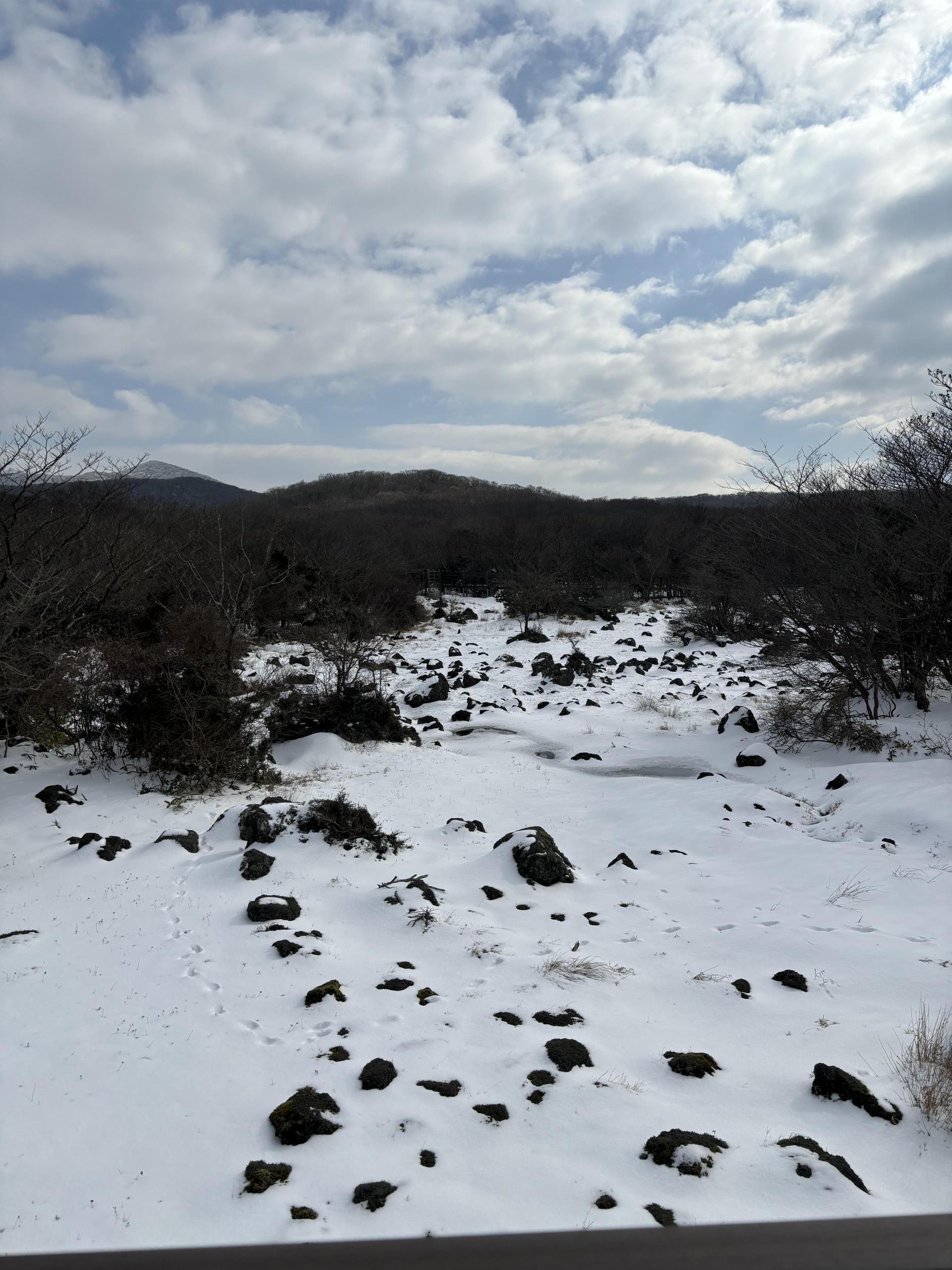 7931b6df67760.jpg