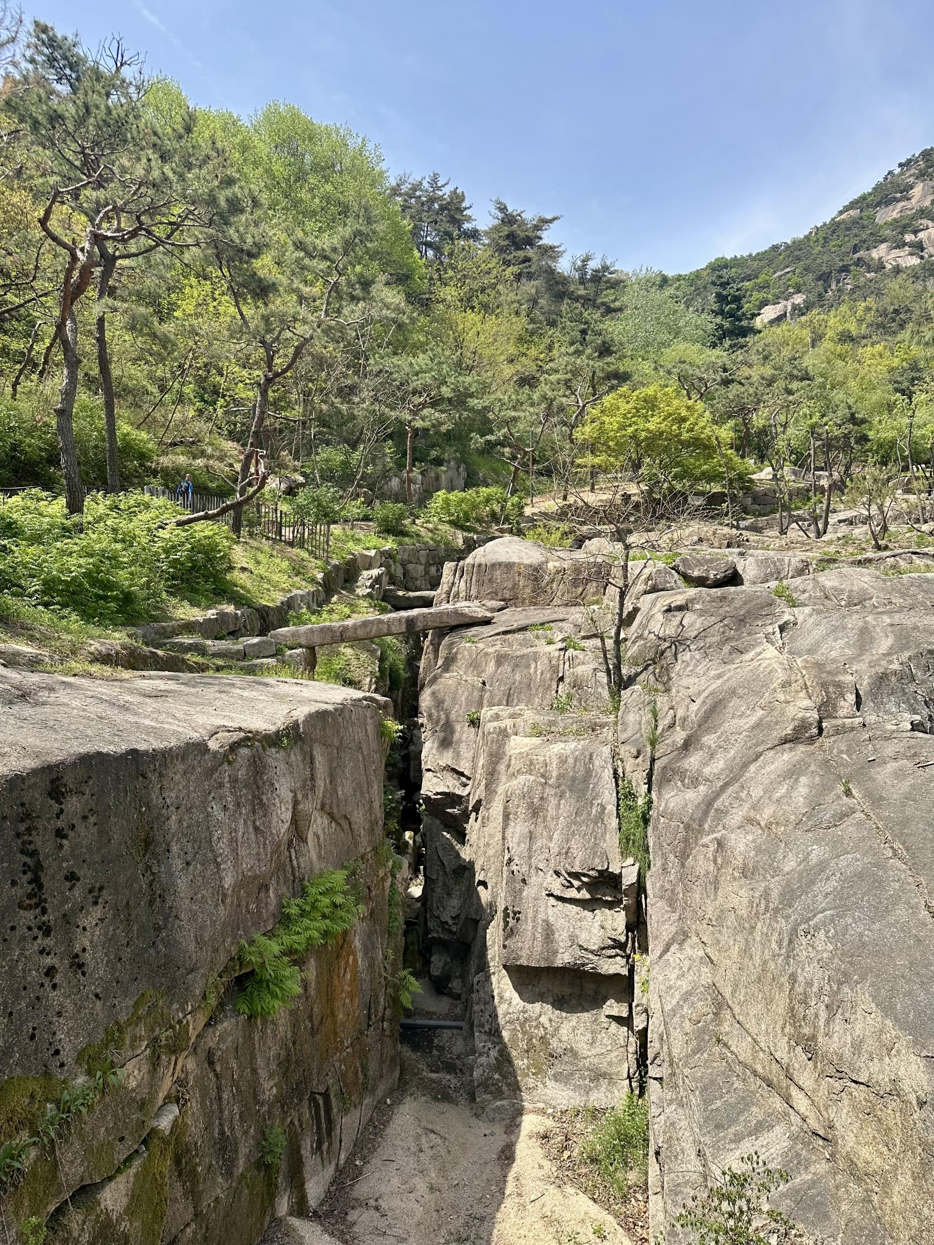 87387500f442a.jpg