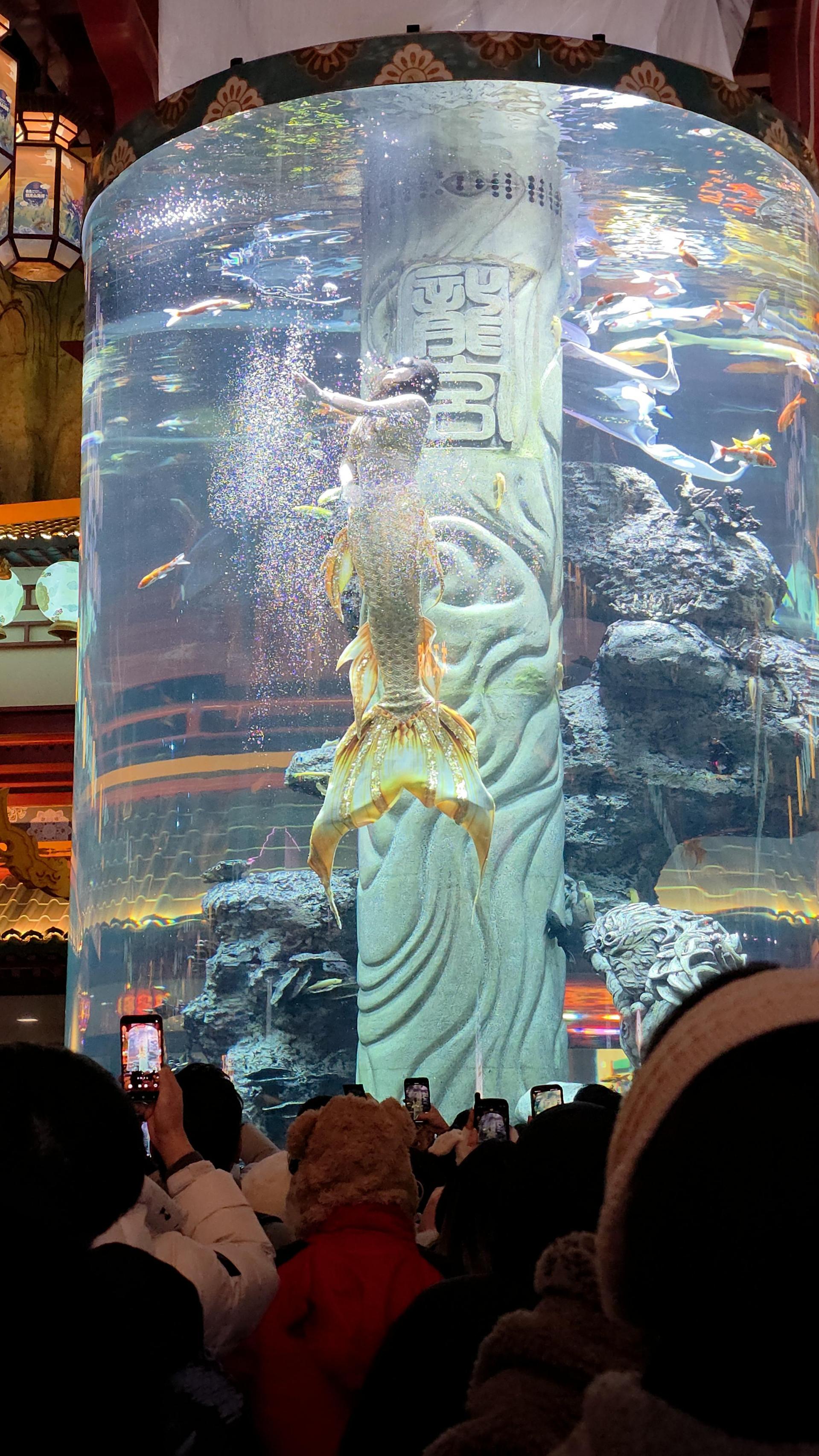 973f1178629b1.jpg