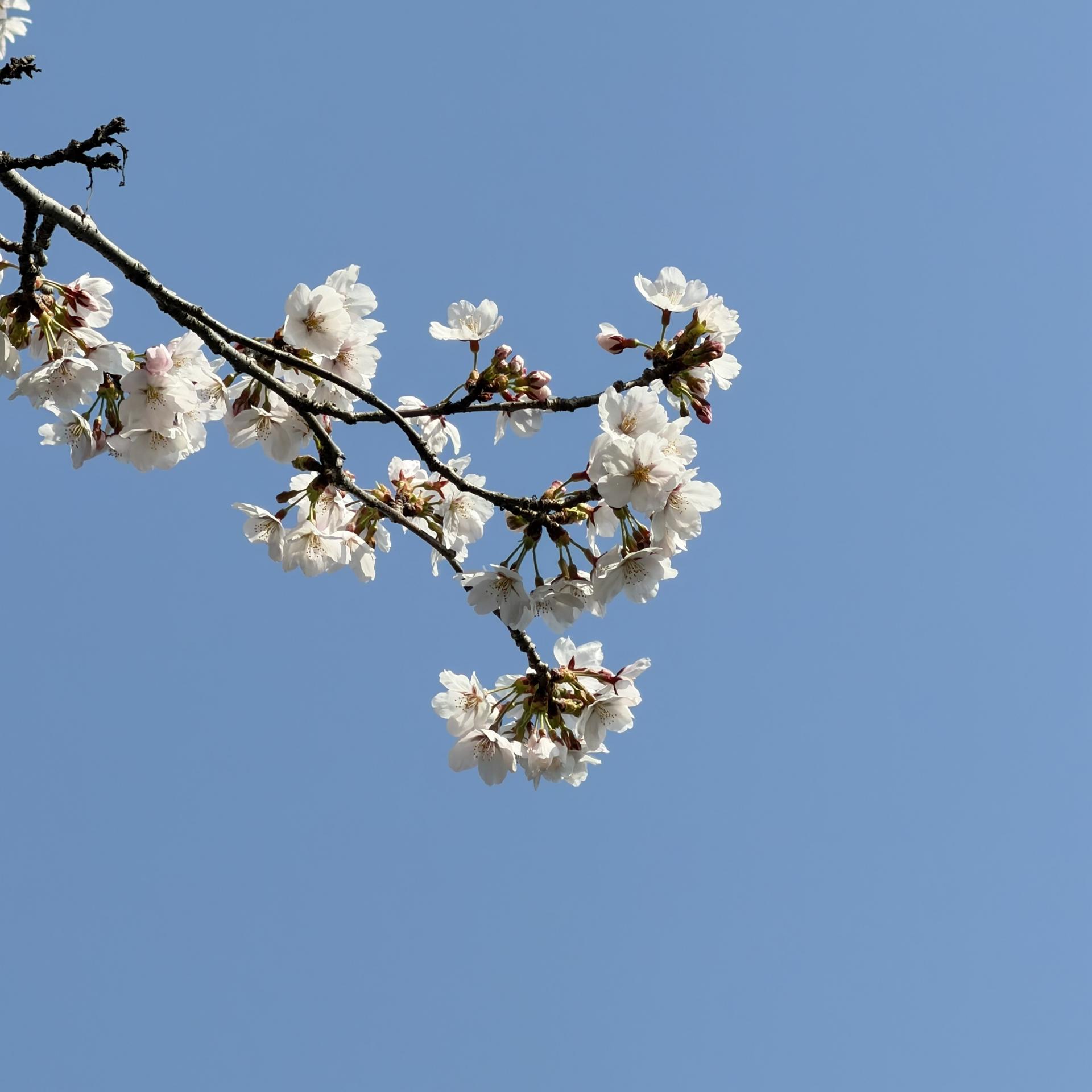a2716c06e165c.jpg