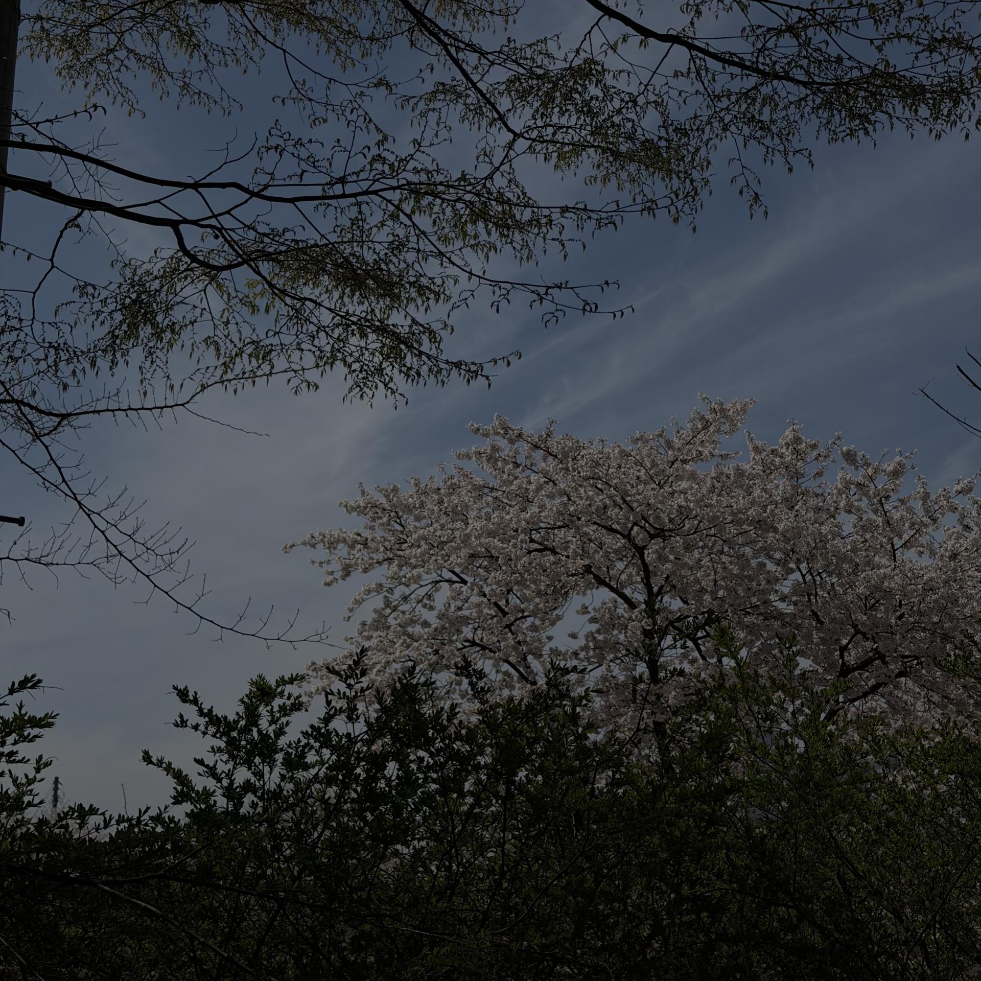 a60764cca951f.jpg