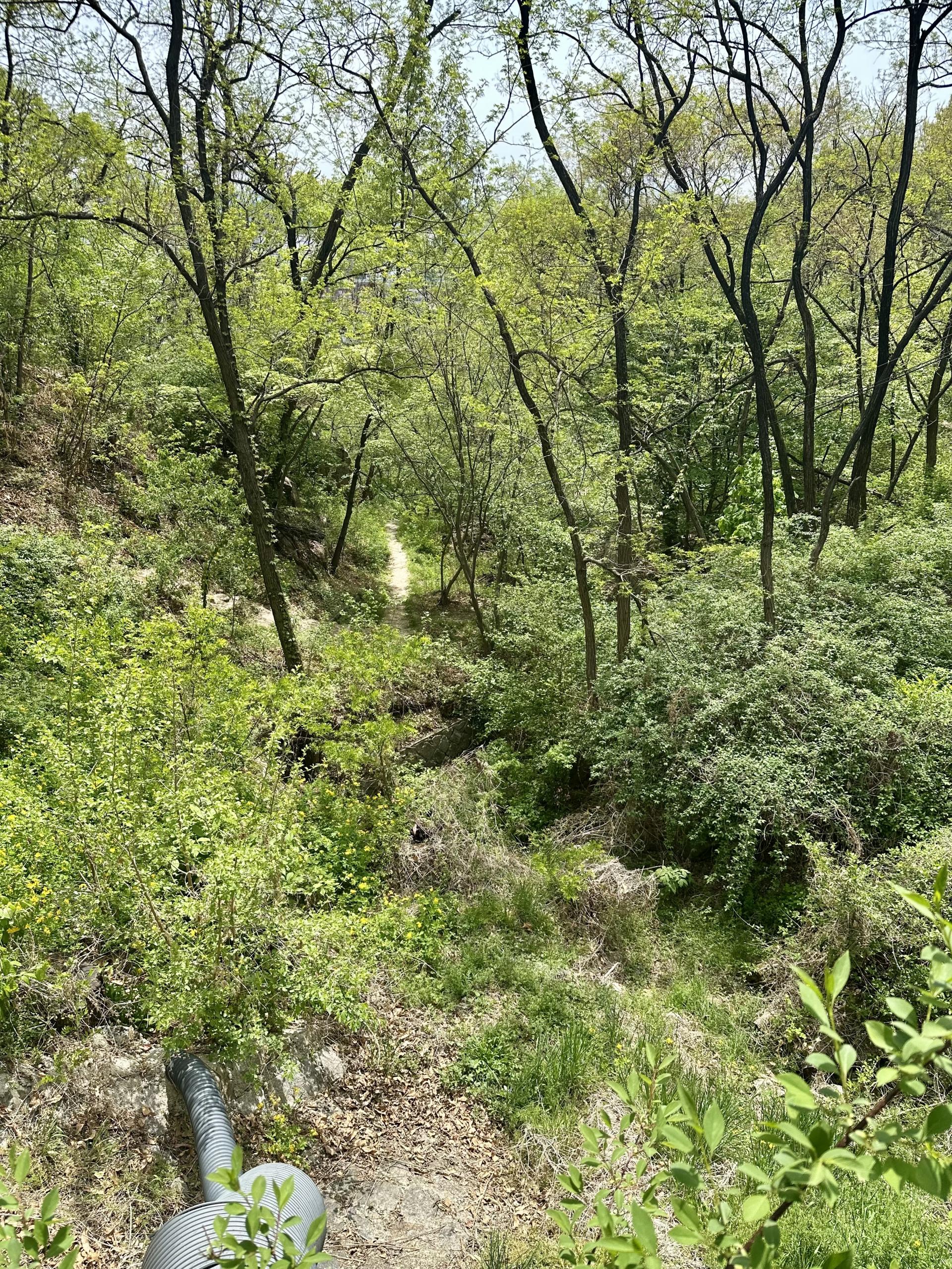 b18c87685190a.jpg