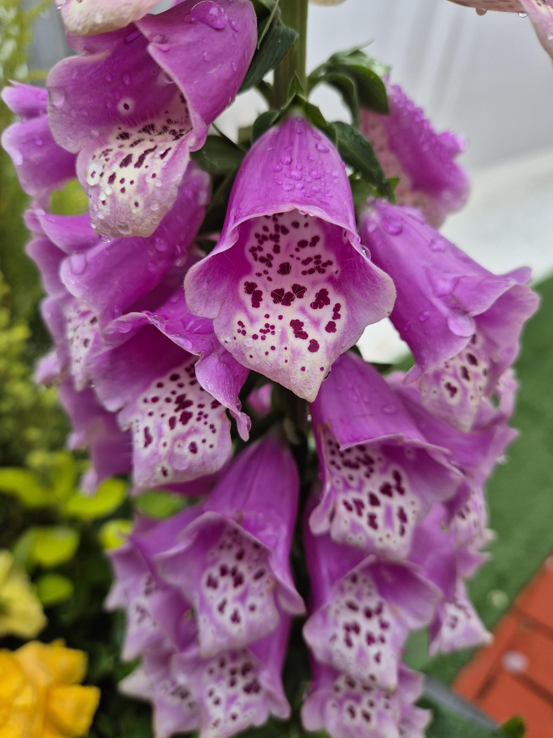 b6f9f0d70a56d.jpg