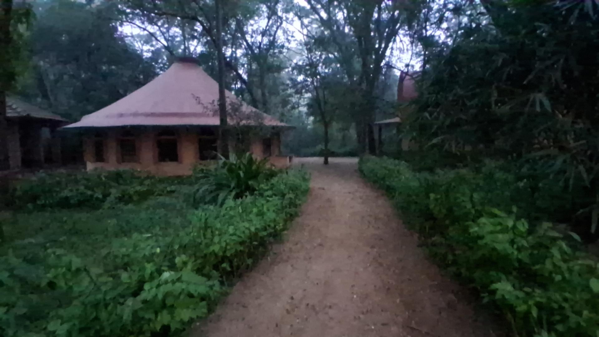 b8d9e331308f4.jpg