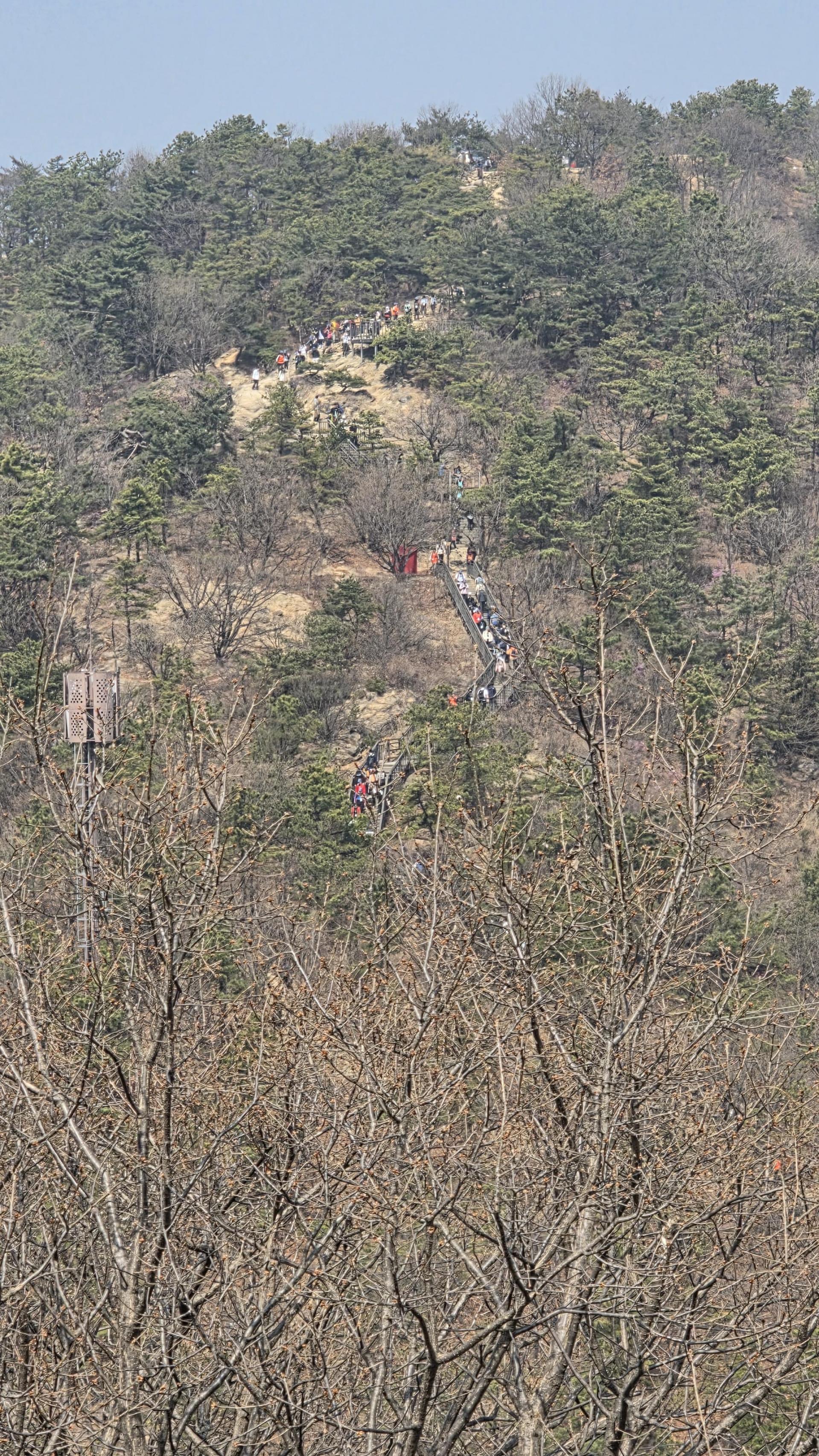bb018a673ffd8.jpg