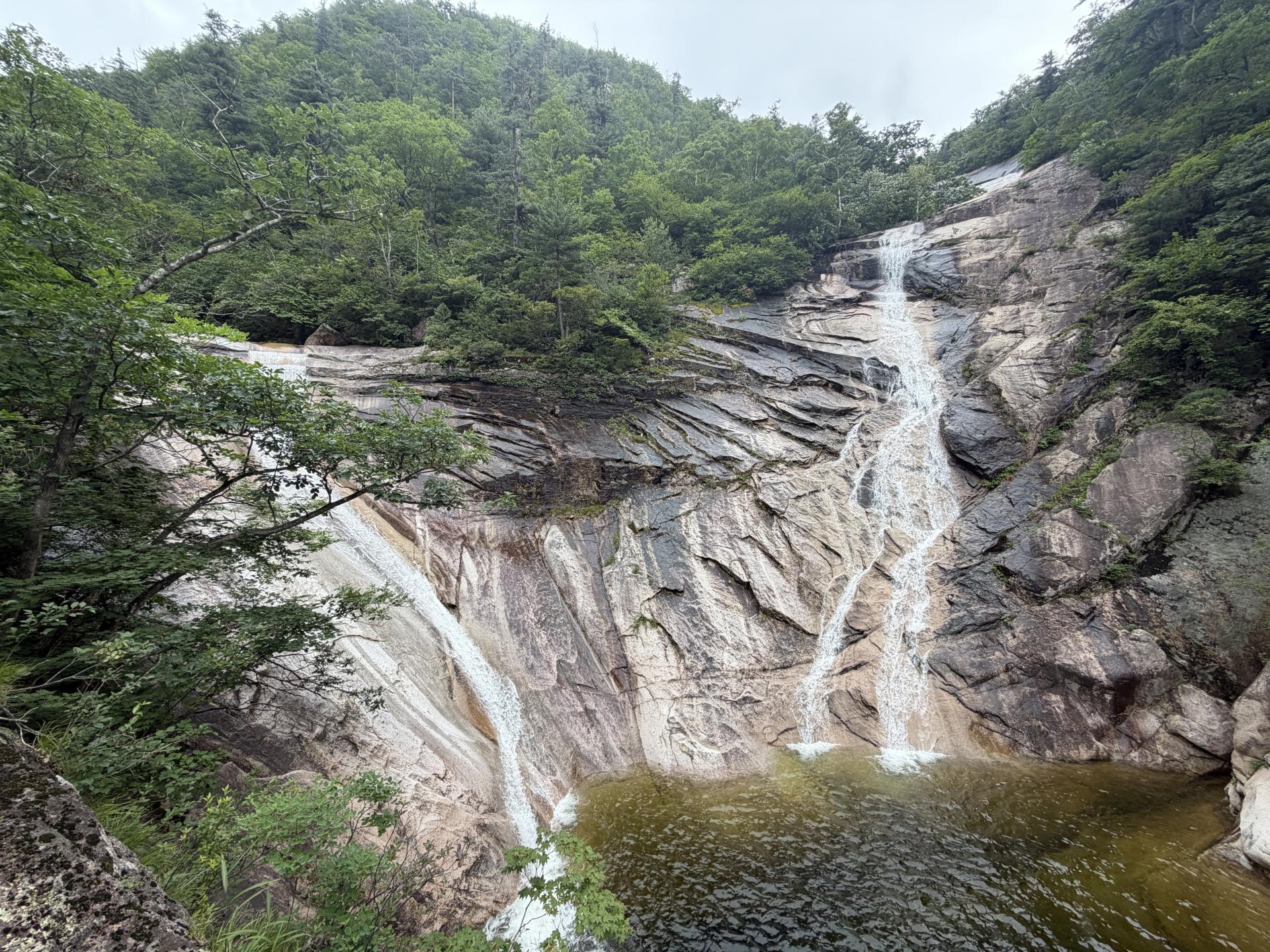 c7002691e9821.jpg