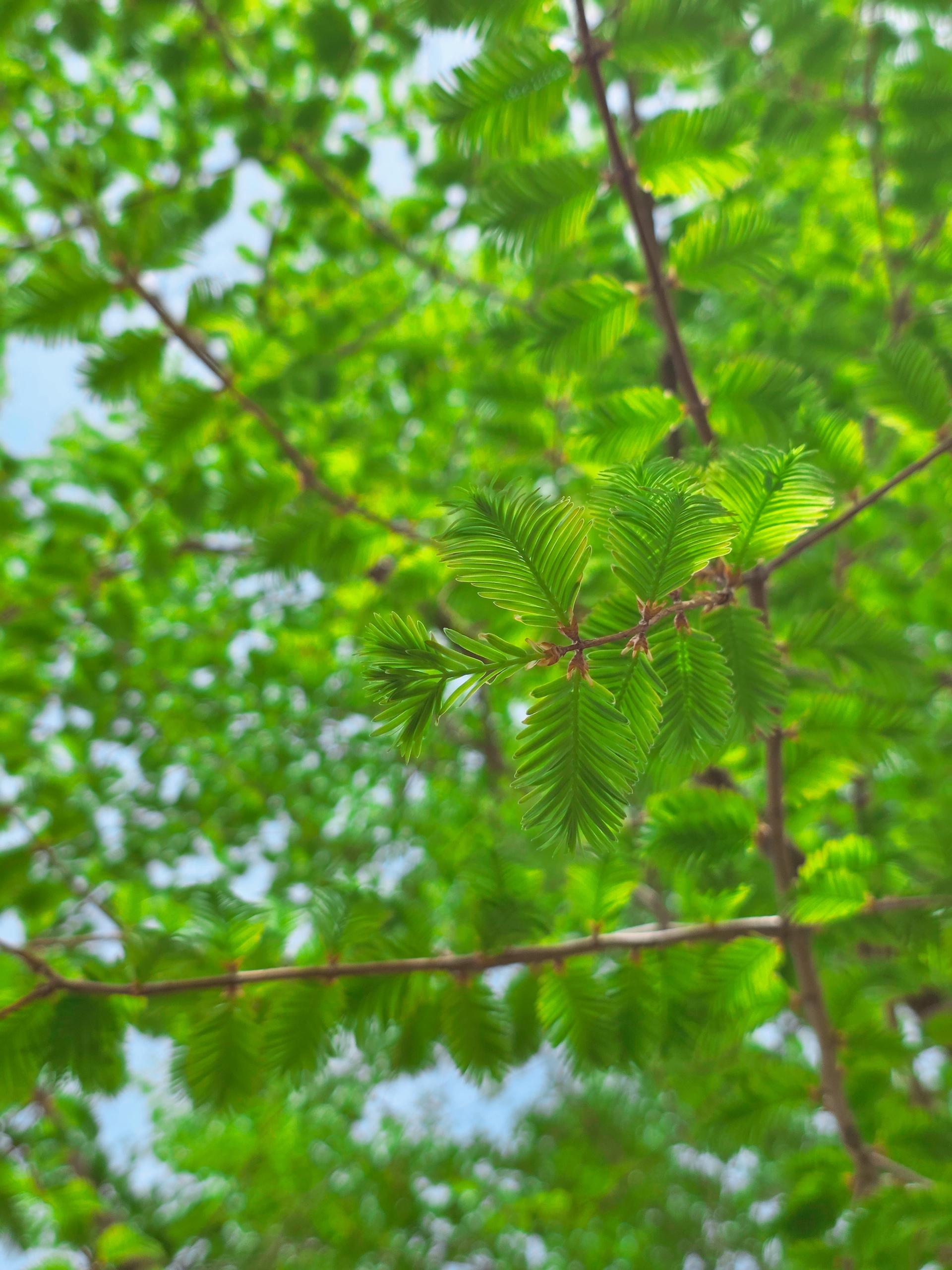 cc8684df1a7ee.jpg