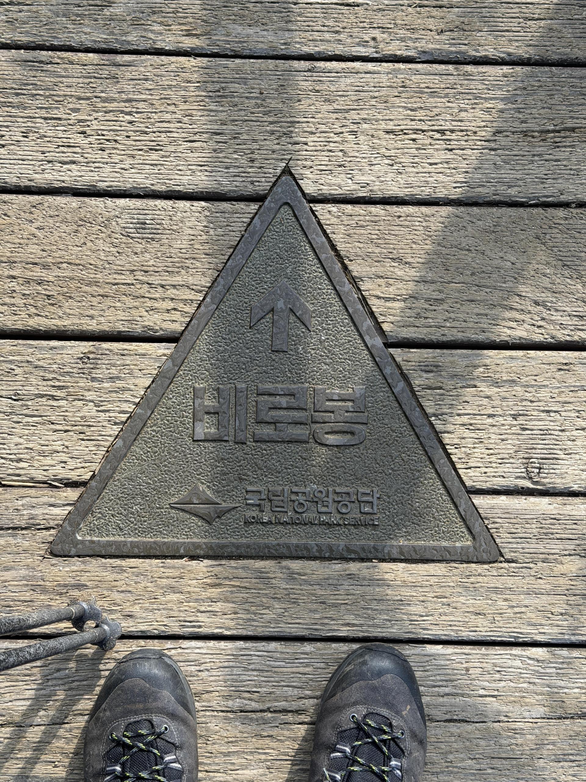 ce881b3774d91.jpg
