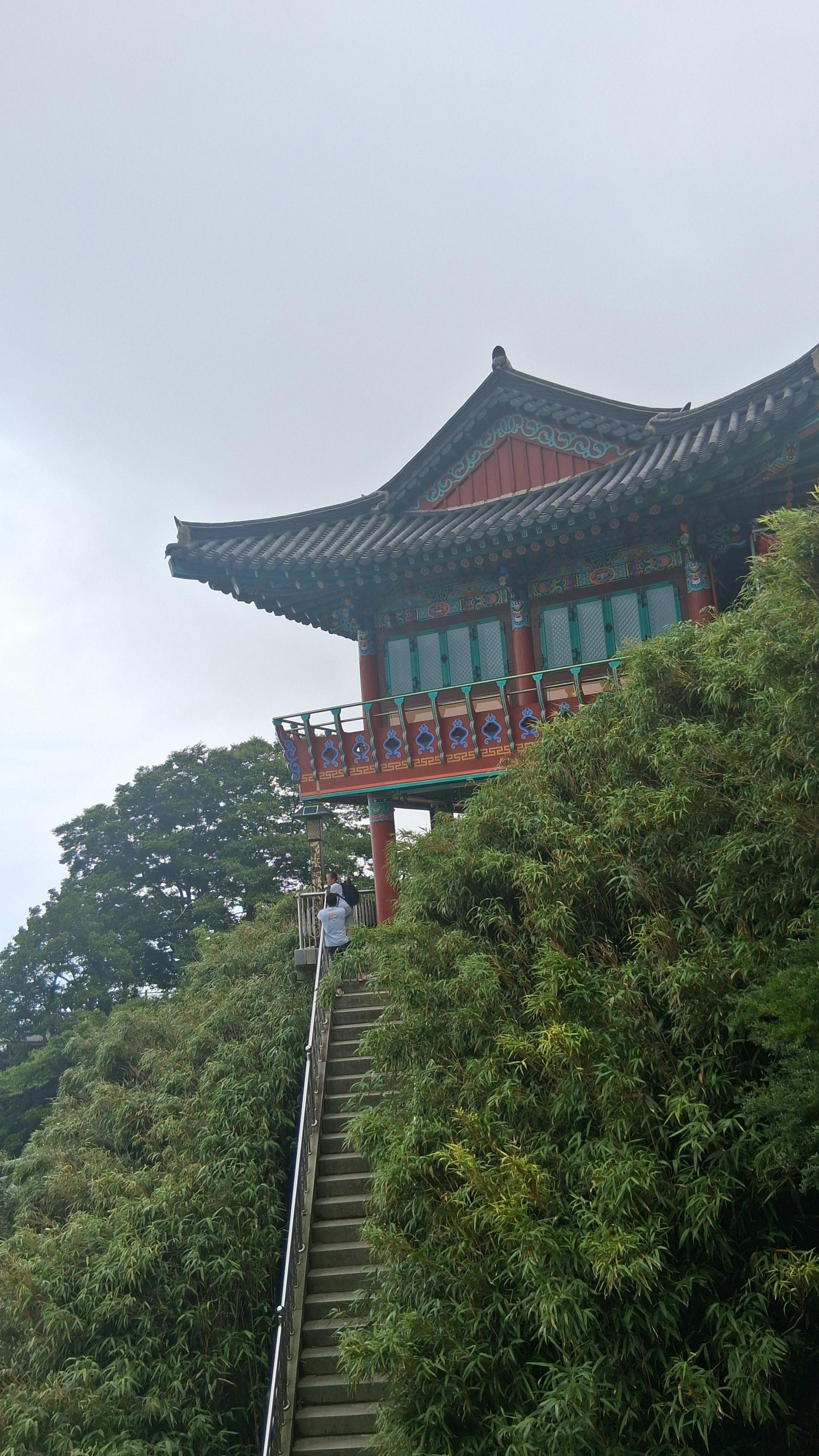 d0f6c56799d2d.jpg