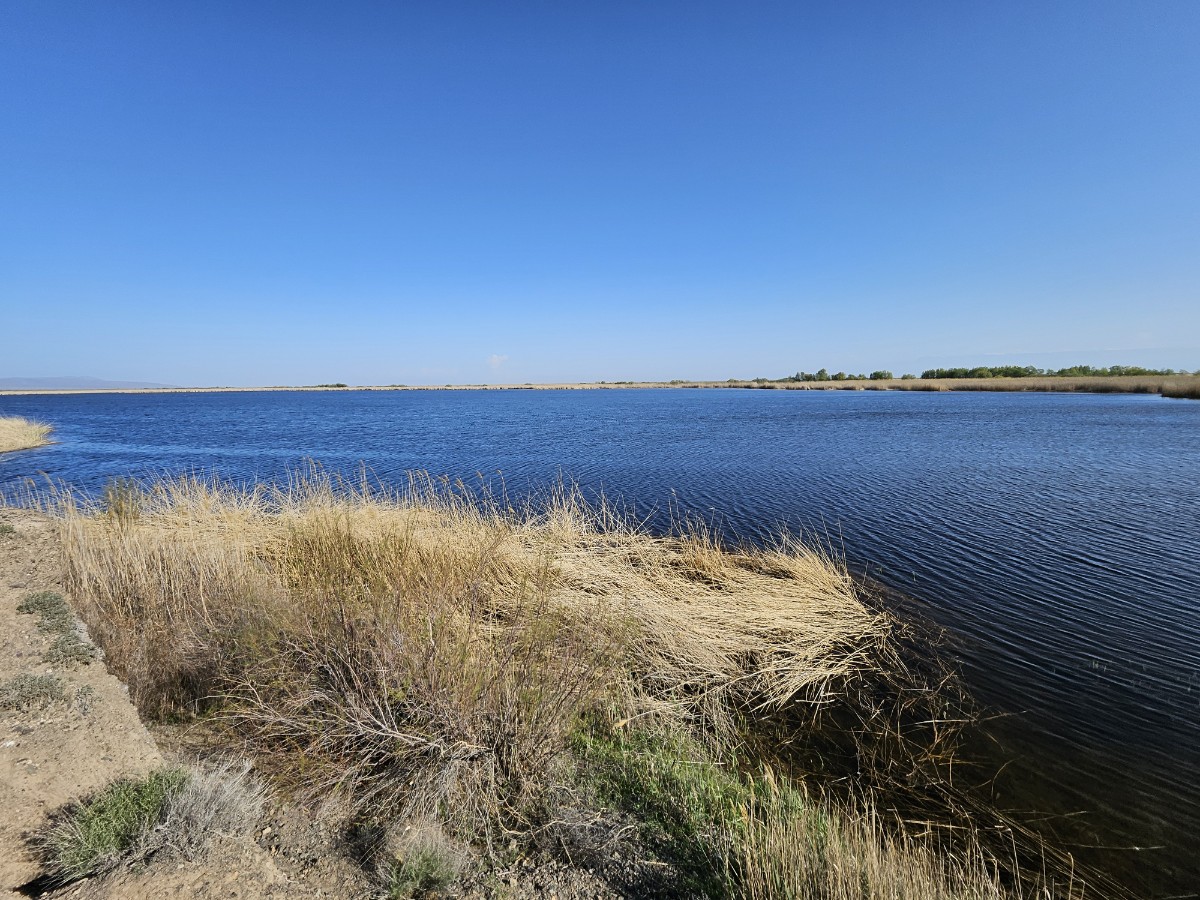 d68a79ed62e6b.jpg