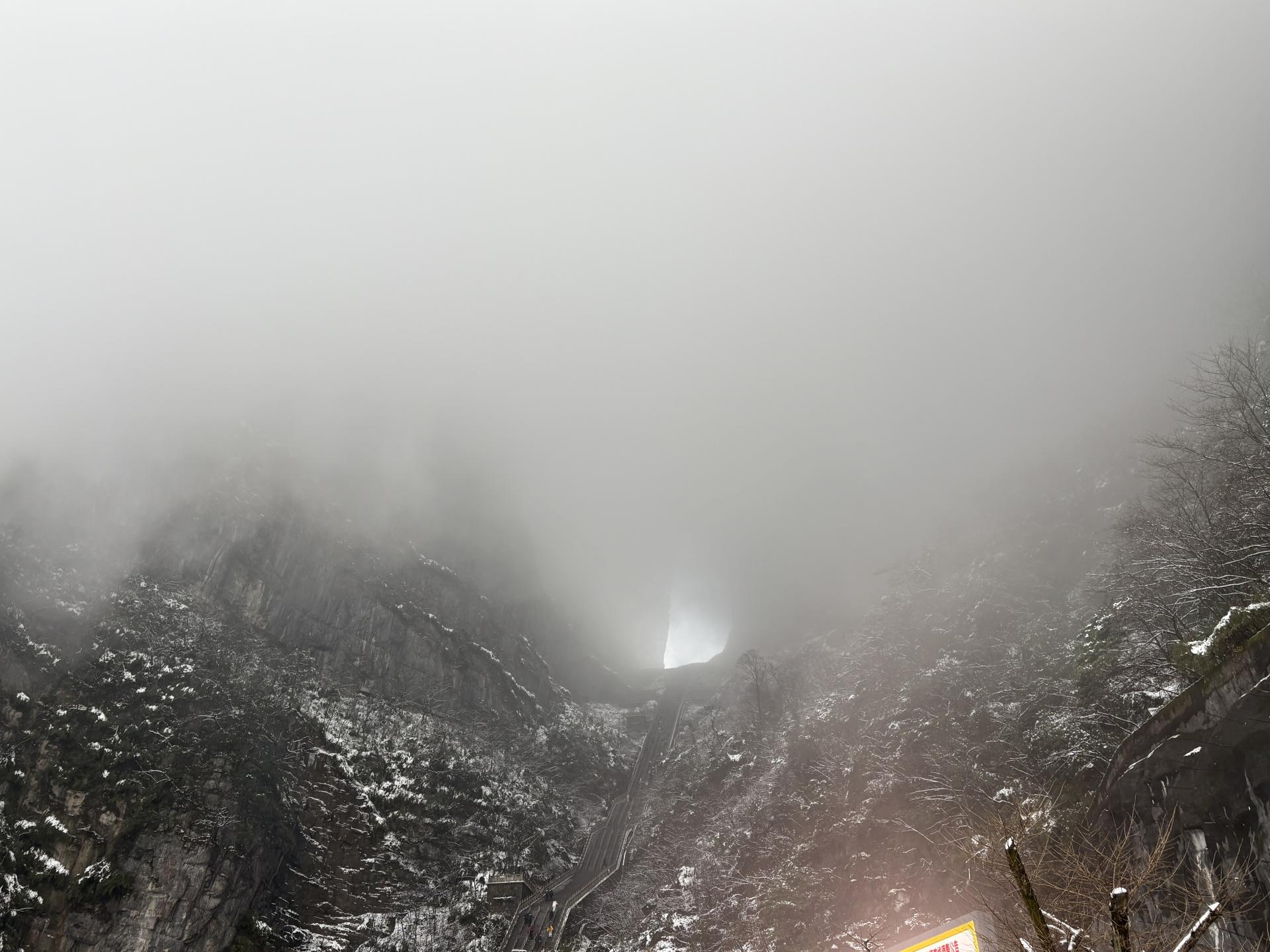 d857e831e5a2e.jpg
