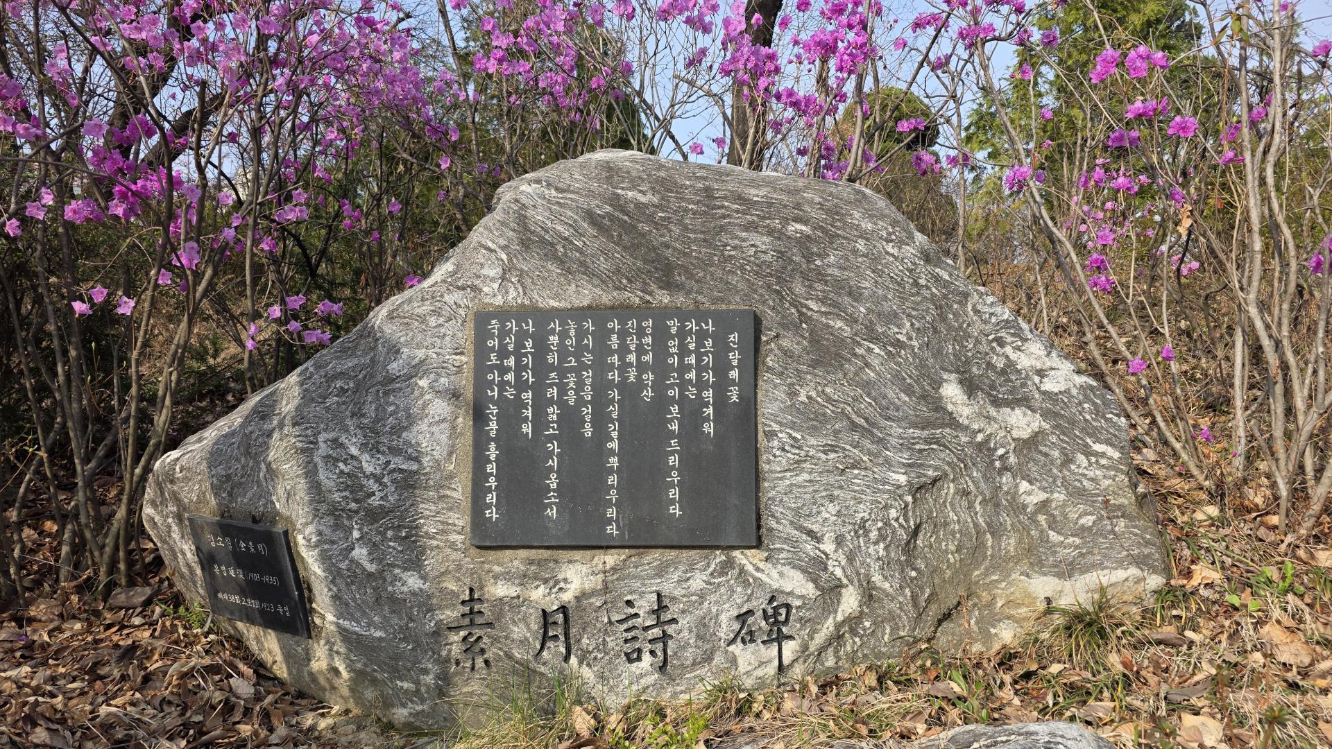 f006c785fde01.jpg