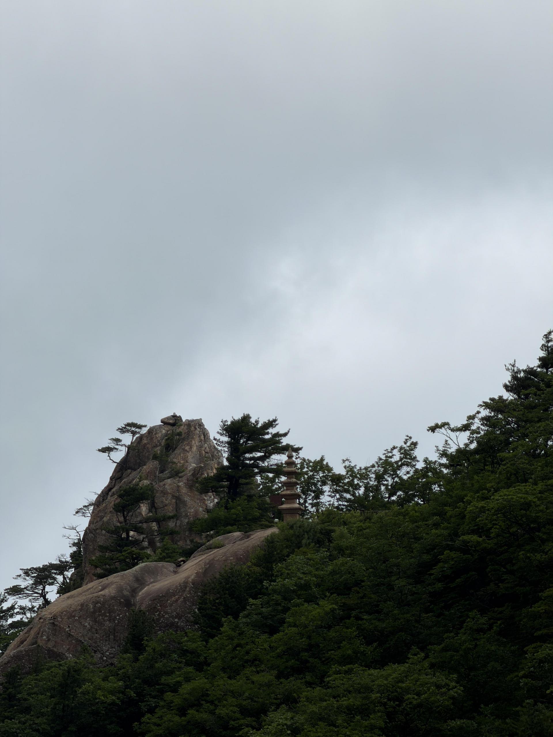 f5c06acda457f.jpg