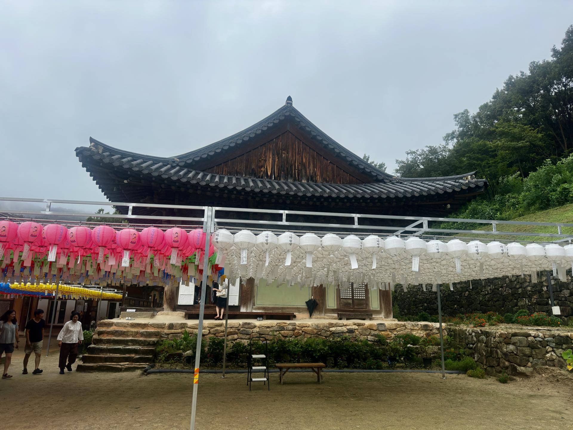 f7211534bde37.jpg