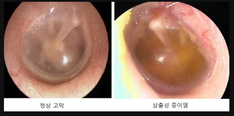 13038fd610ca3.png