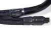 cf6dce03d3779.jpg