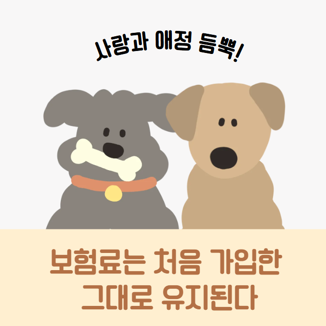 46160d1938162.png