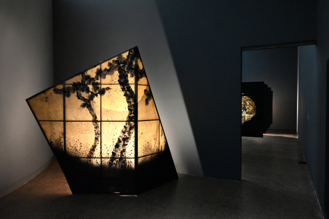 유태근 개인전이 열리고 있는 아트스페이스 울림 전경. 아트스페이스 울림 제공