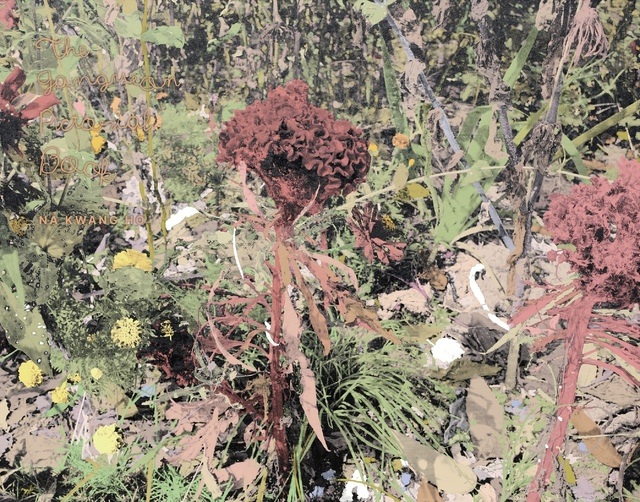 b380b98df1802.png