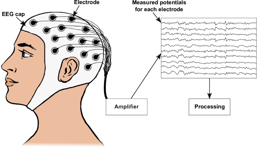 1a129ba75728c.png