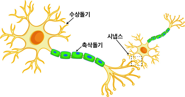 d28a9bec19c02.png