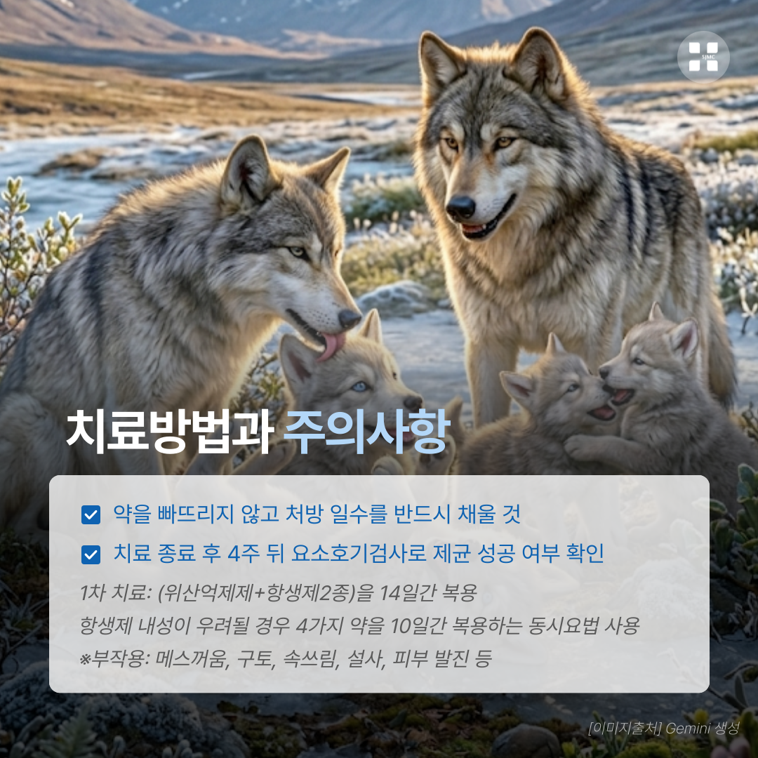 7757353d15cc8.png