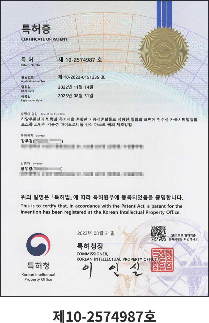 특허 이미지 1