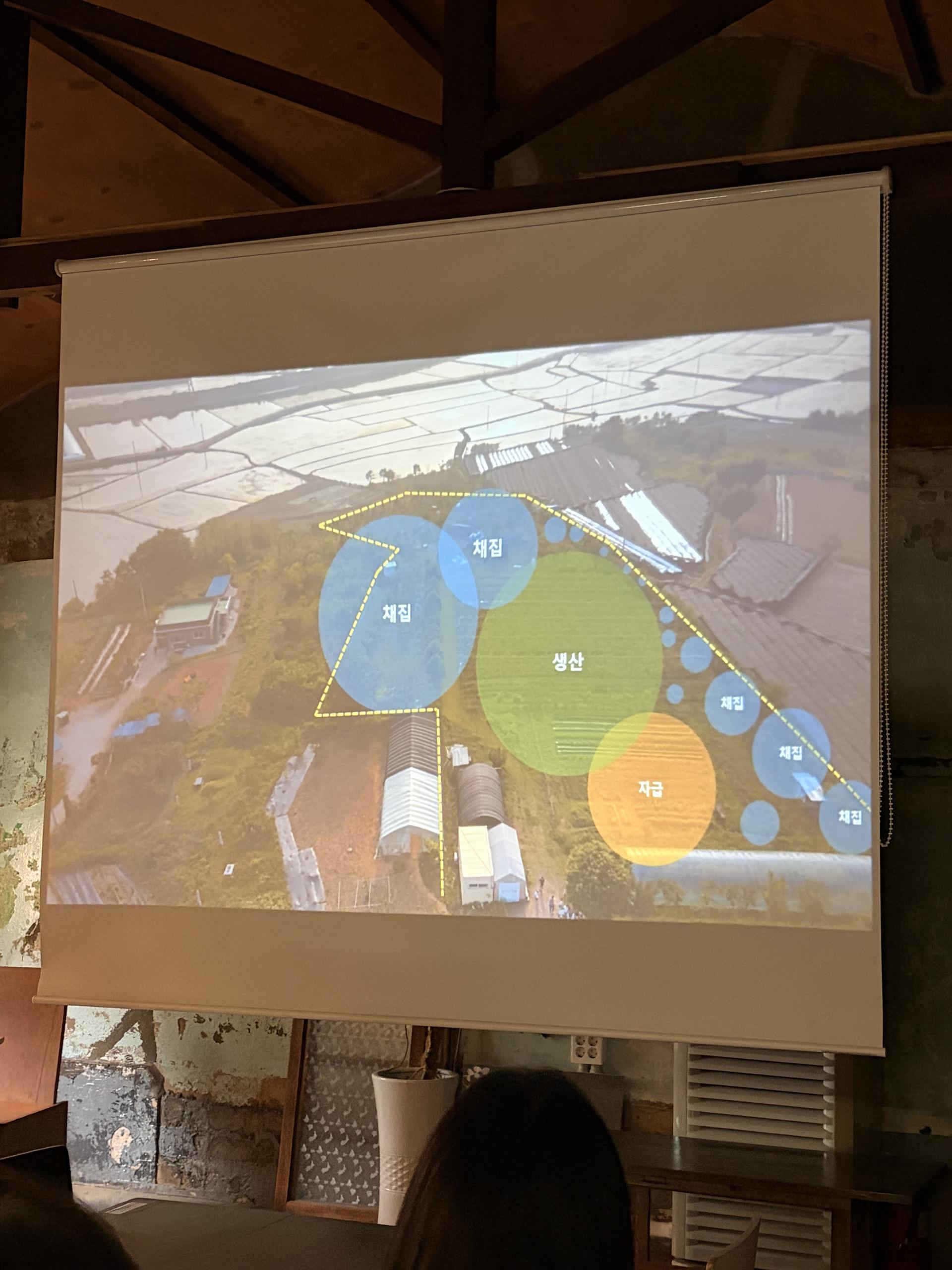 IMG_4731.jpg