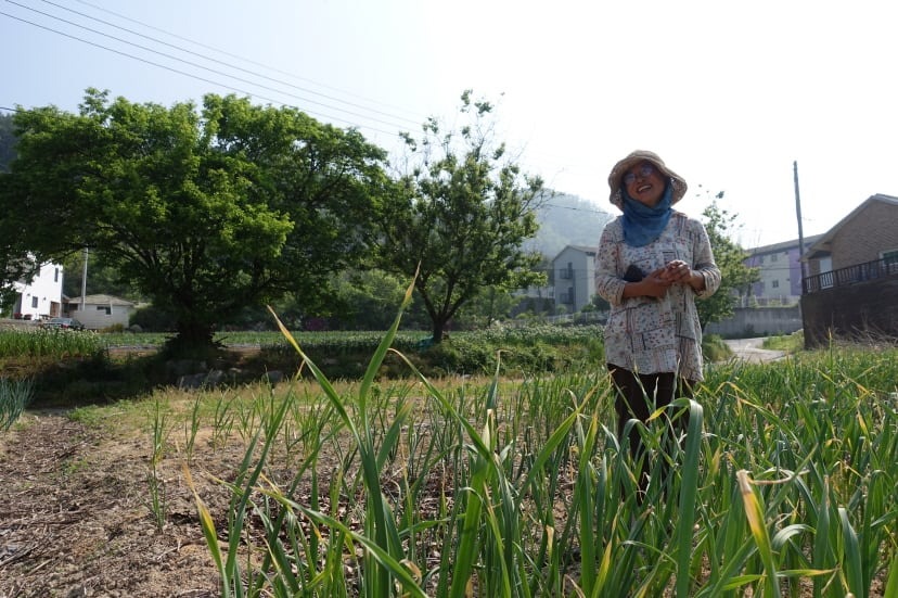 %ed%81%ac%ea%b8%b0%eb%b3%80%ed%99%98dsc05732