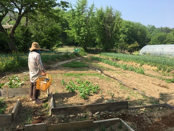 %ed%81%ac%ea%b8%b0%eb%b3%80%ed%99%98%ec%82%ac%ec%a7%84-2019-5-16-%ec%98%a4%ec%a0%84-9-50-23