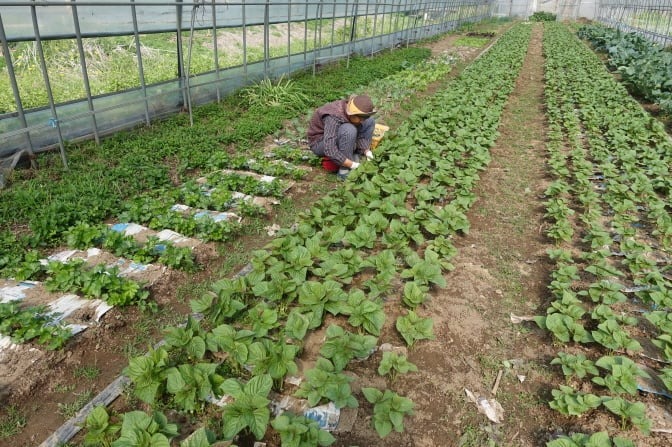 %ed%81%ac%ea%b8%b0%eb%b3%80%ed%99%98dsc05456