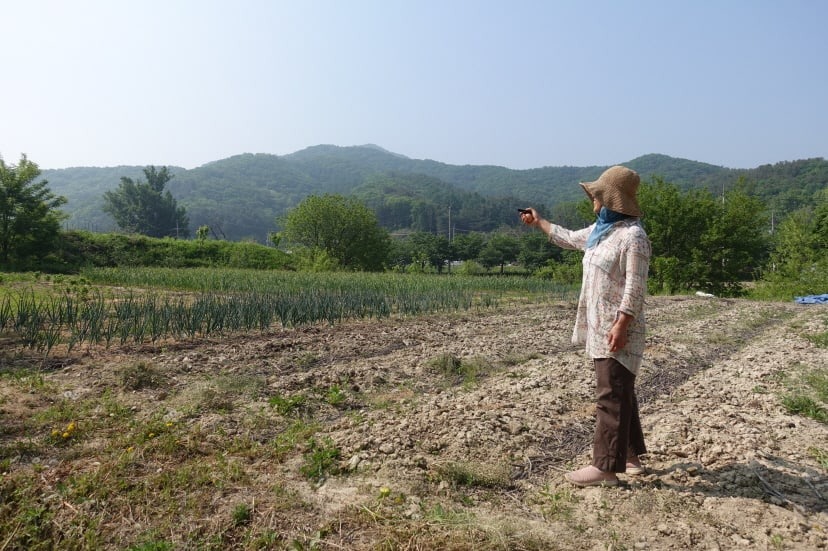 %ed%81%ac%ea%b8%b0%eb%b3%80%ed%99%98dsc05656