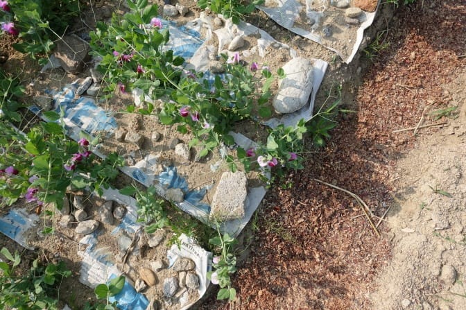 %ed%81%ac%ea%b8%b0%eb%b3%80%ed%99%98dsc05387