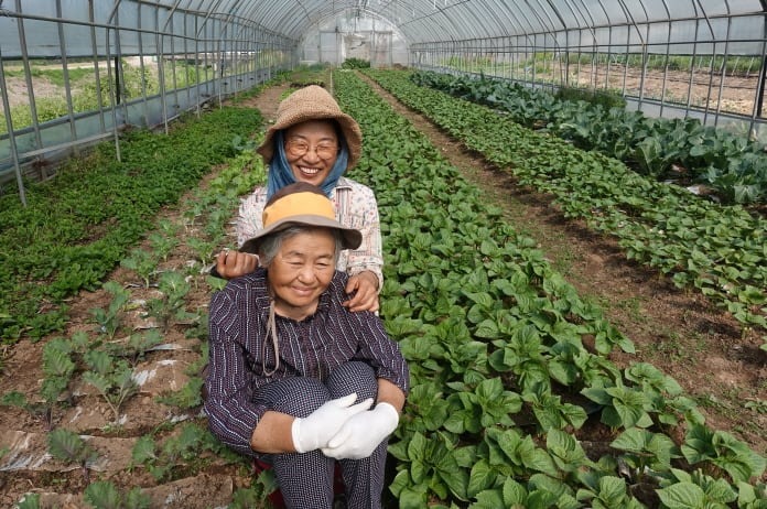 %ed%81%ac%ea%b8%b0%eb%b3%80%ed%99%98dsc05515