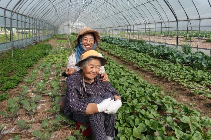 %ed%81%ac%ea%b8%b0%eb%b3%80%ed%99%98dsc05516