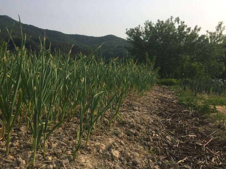 %ed%81%ac%ea%b8%b0%eb%b3%80%ed%99%98%ec%82%ac%ec%a7%84-2019-5-16-%ec%98%a4%ed%9b%84-4-51-52