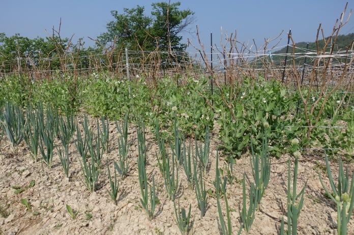 %ed%81%ac%ea%b8%b0%eb%b3%80%ed%99%98dsc05623