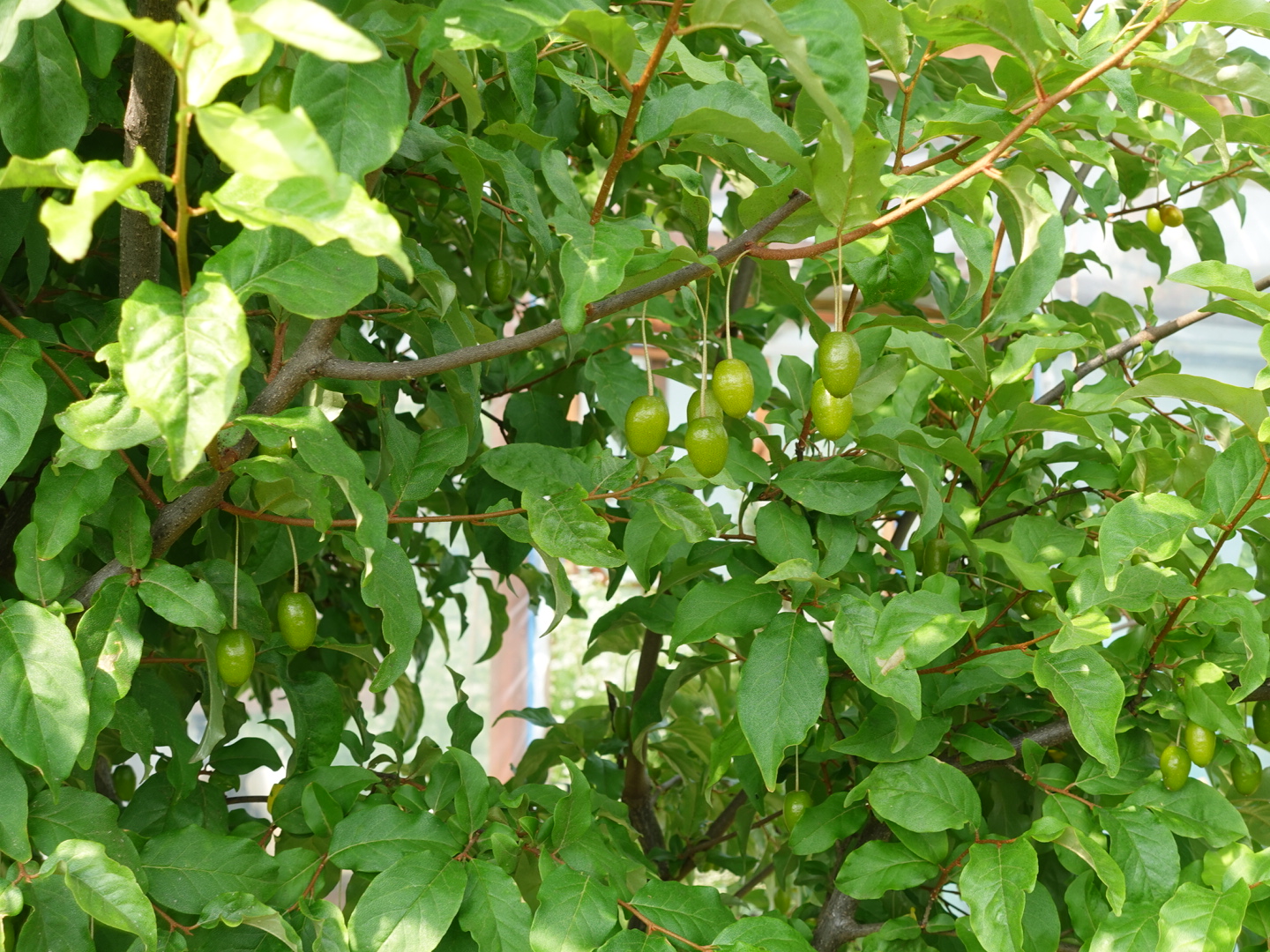 d268819634733.jpeg