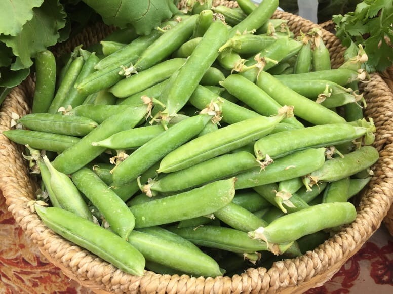 %ed%81%ac%ea%b8%b0%eb%b3%80%ed%99%98%ec%99%84%eb%91%90 1