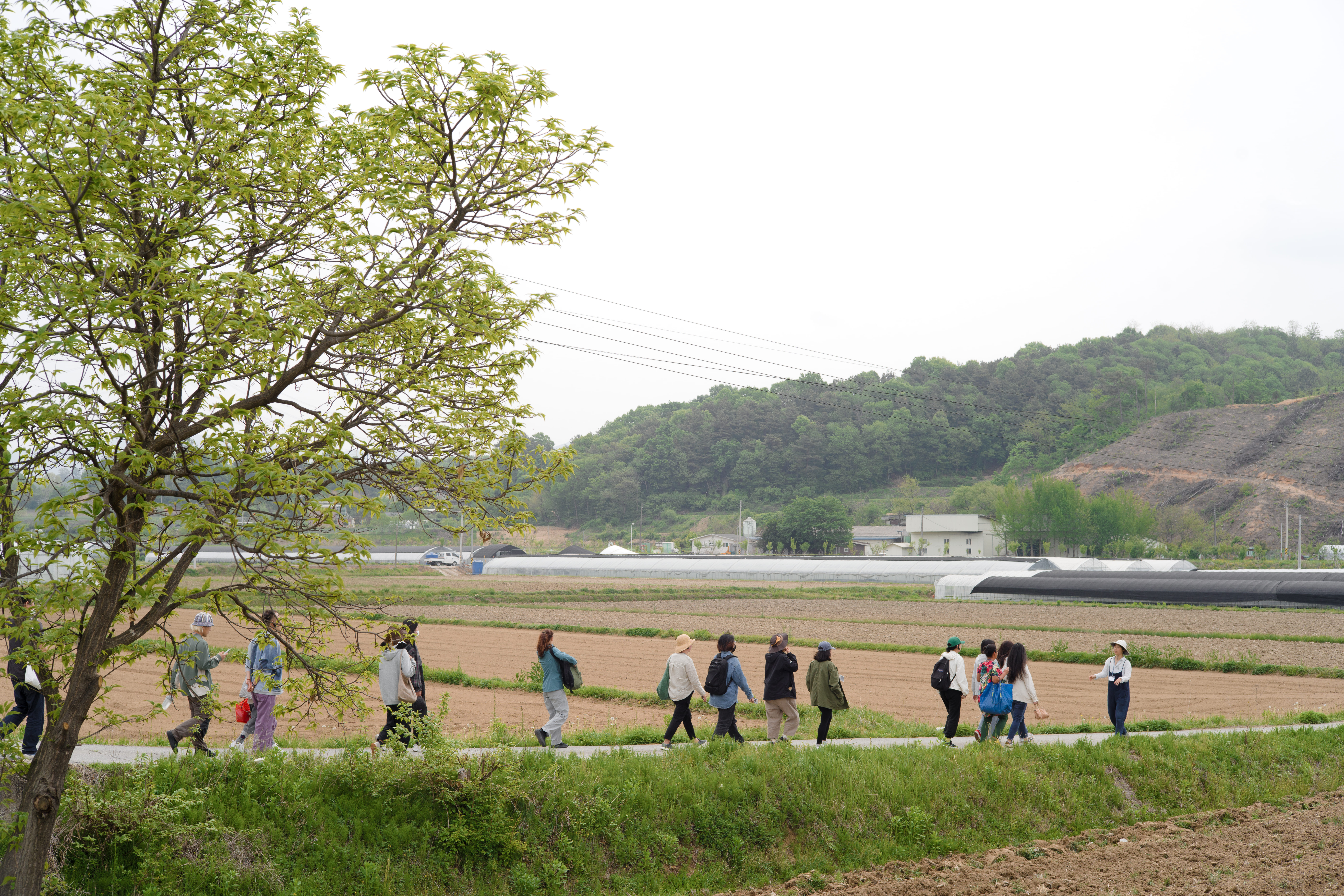 fa623c9522b4e.jpg