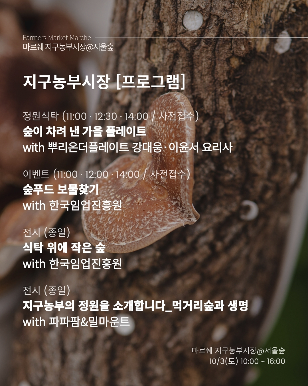 fe1283ddb8027.jpg