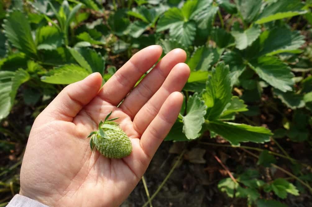 %ed%81%ac%ea%b8%b0%eb%b3%80%ed%99%98dsc05550