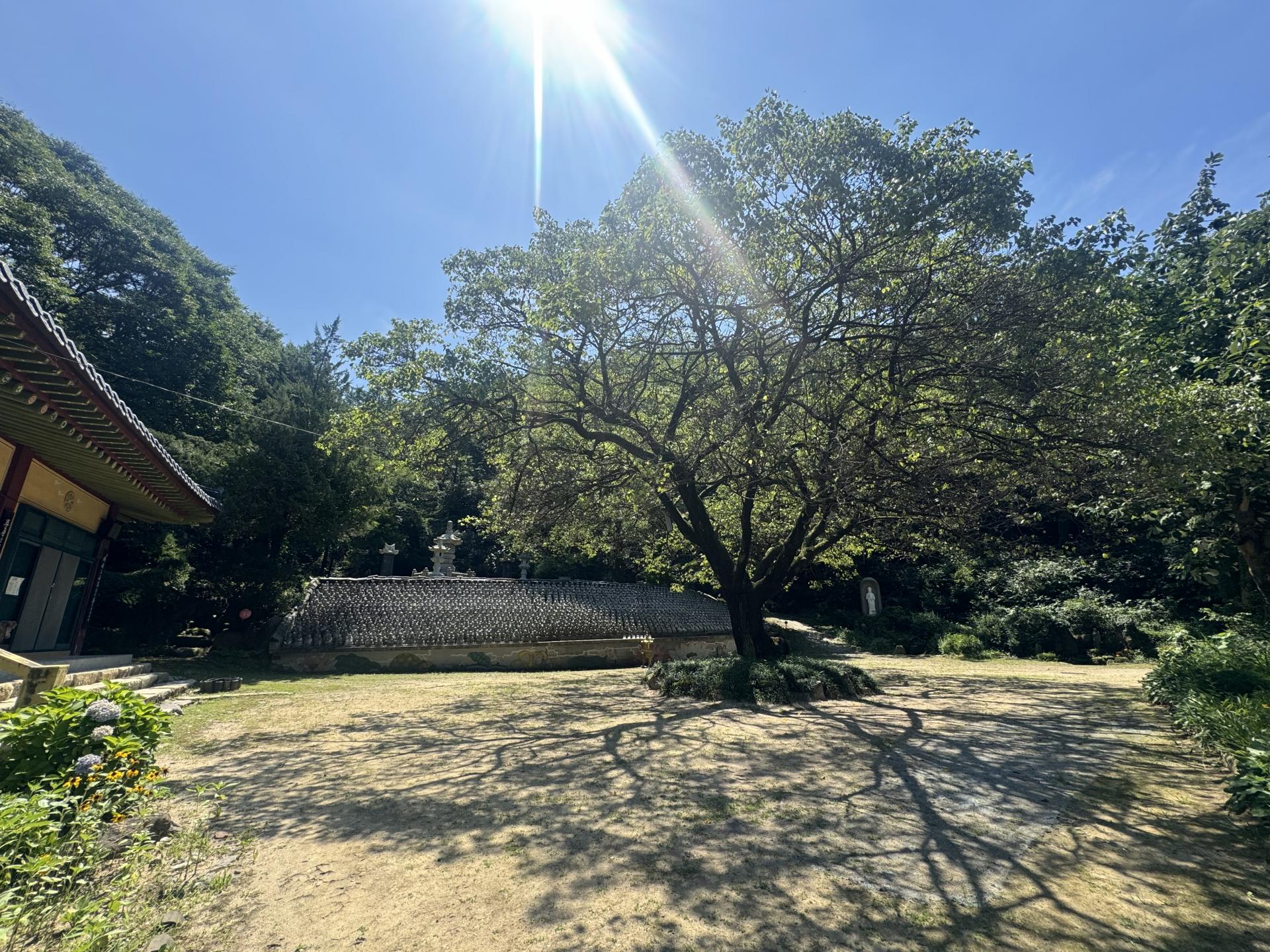 공감 프라이빗 웰다잉 프로그램 진행 현장 (남양주 진건읍)