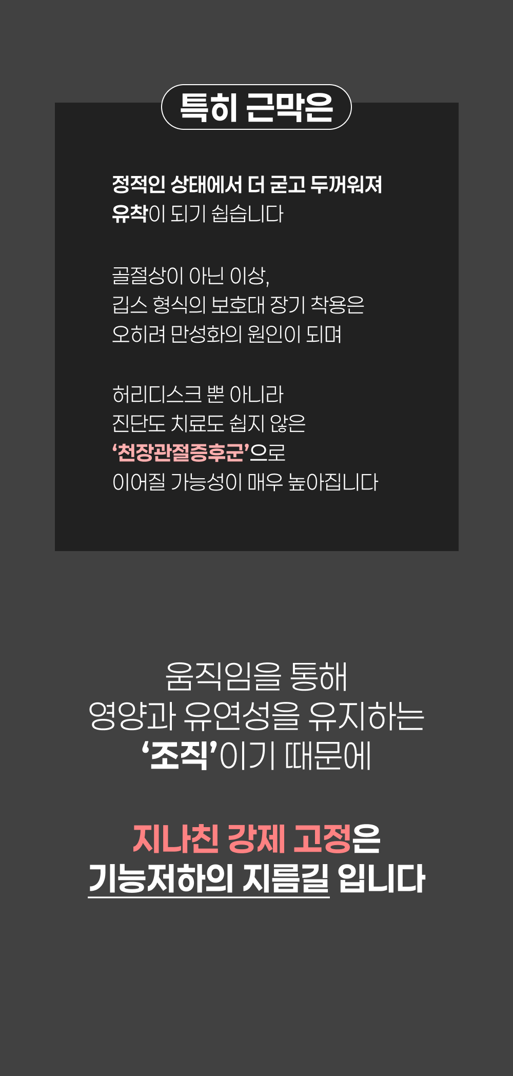 [CORELOCK] 흉요근막벨트 요추전만벨트 요추패드 다이얼 시스템 코어락