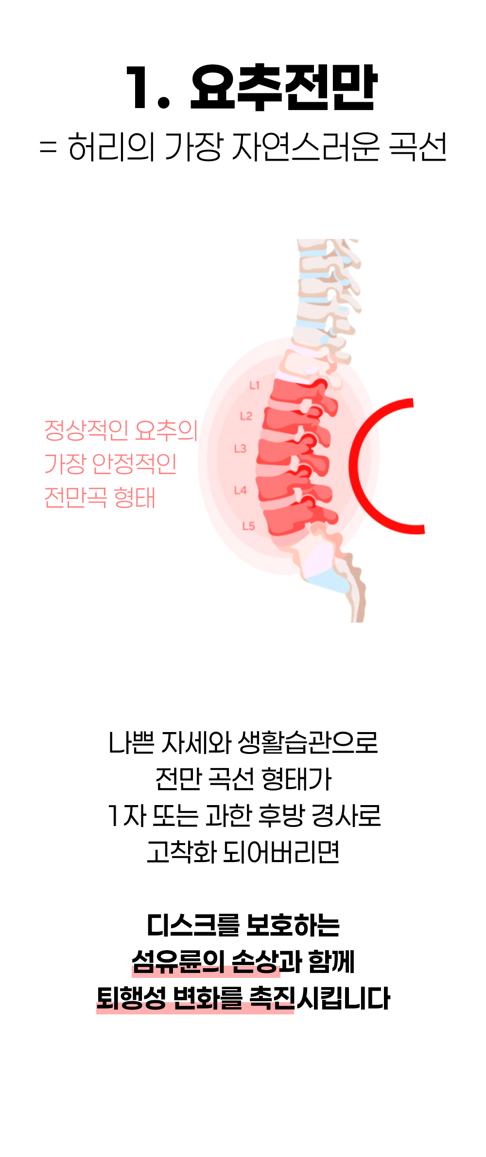 [CORELOCK] 흉요근막벨트 요추전만벨트 요추패드 다이얼 시스템 코어락